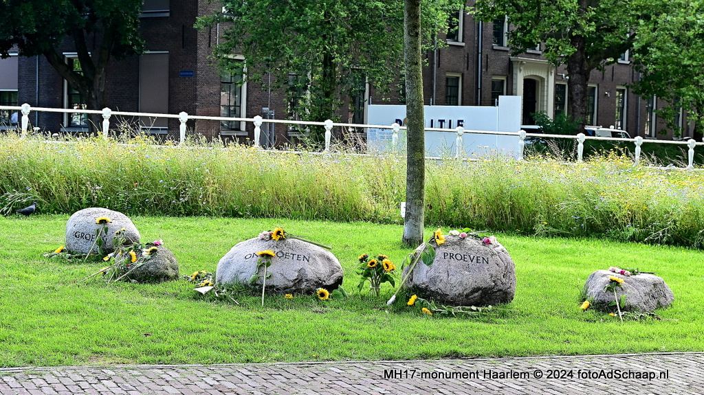 Zonnebloemen in Haarlem voor MH17-slachtoffers