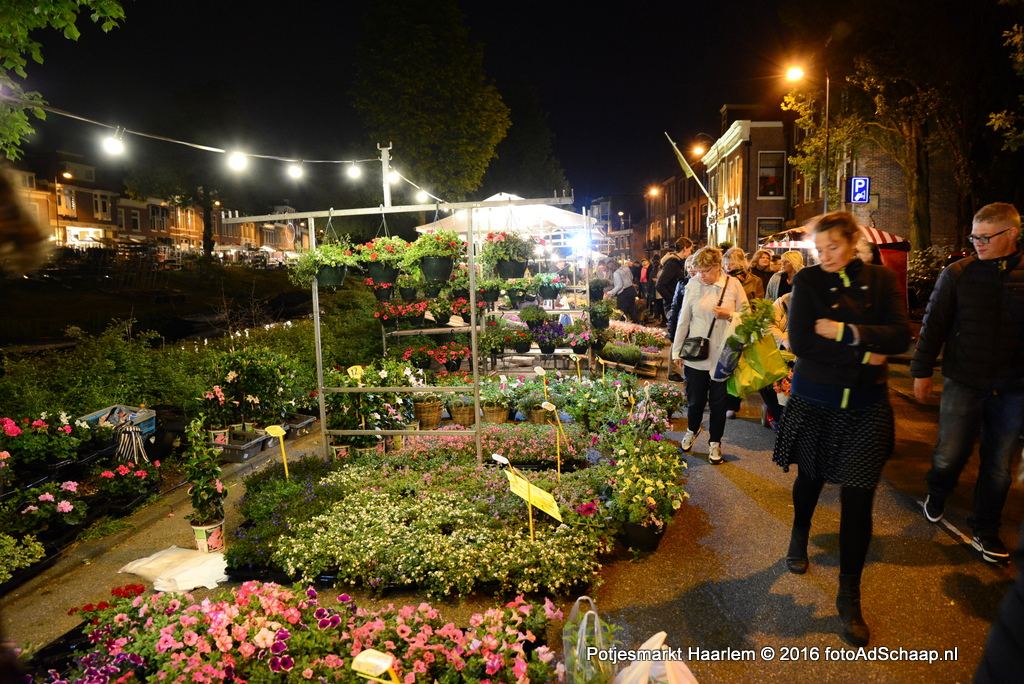 Luilakmarkt Haarlem 2016 de potjes- en plantenmarkt