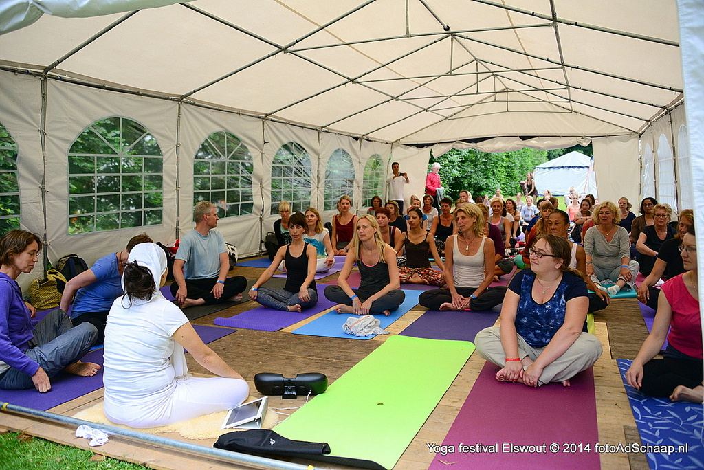 Yoga festival 2014 Haarlem - op landgoed Elswout